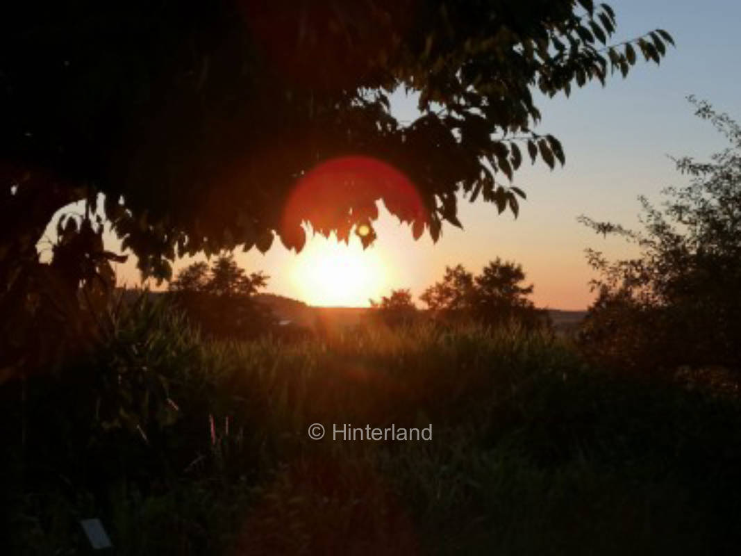 Himmlische Träume        mit Weinpanorama