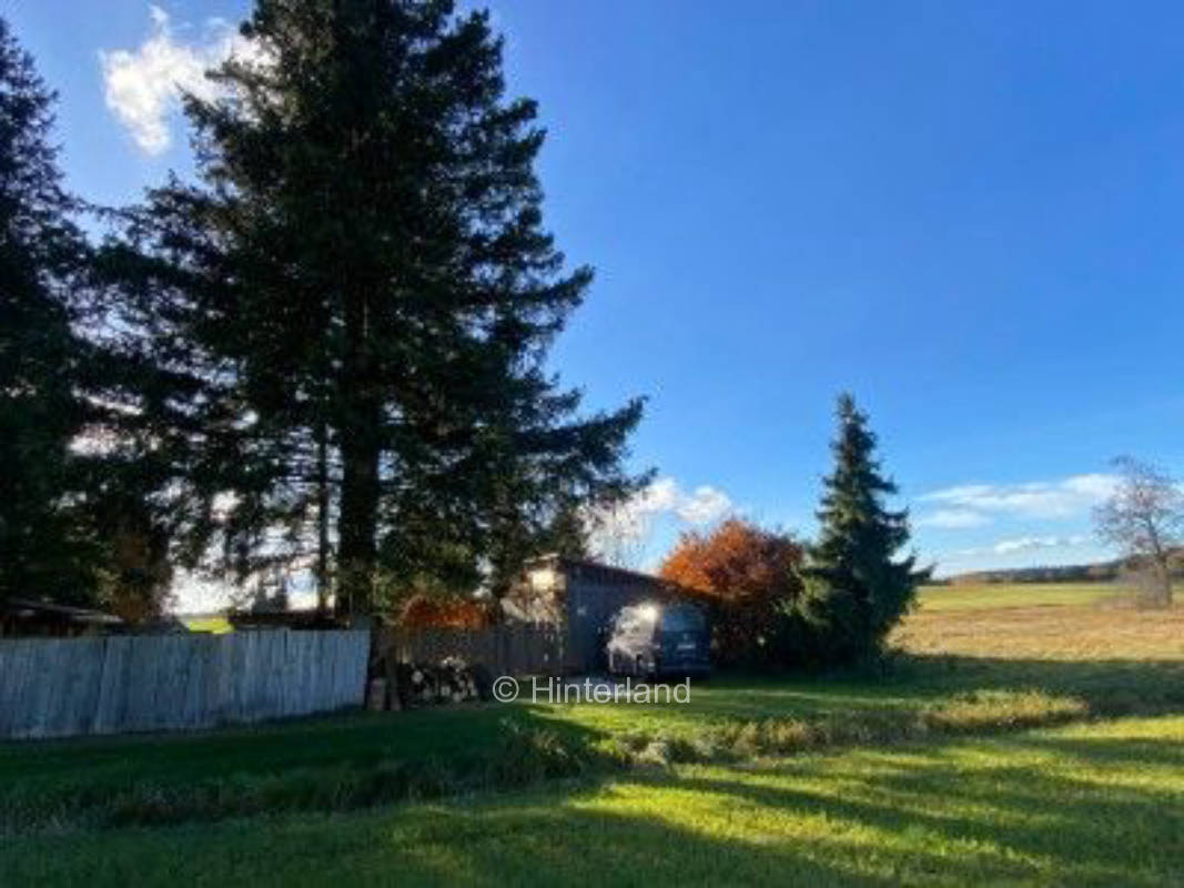 Alleinlage am Rand eines Niedermoores