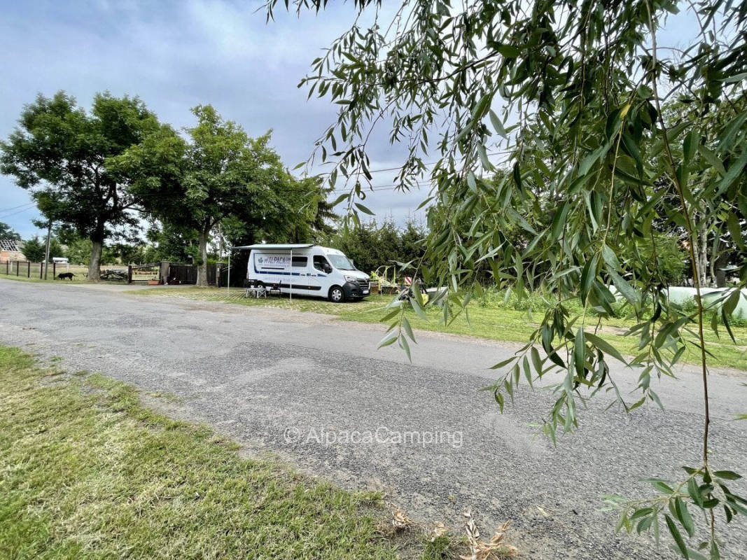 Pitch on the path #1