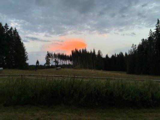 Absolute seclusion in the Allgäu