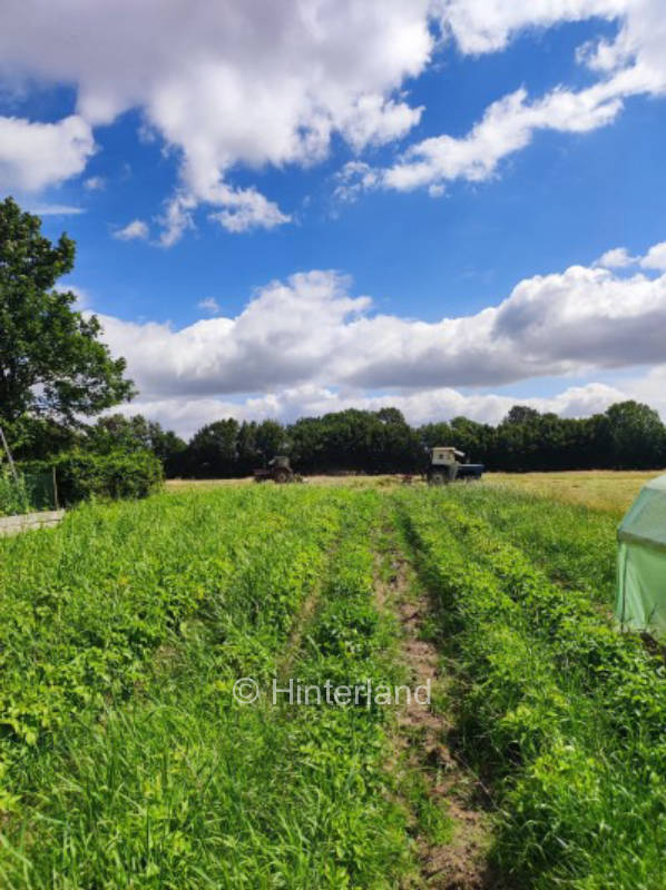 Vacation region Angeln- yard at the Baltic Sea & Schlei