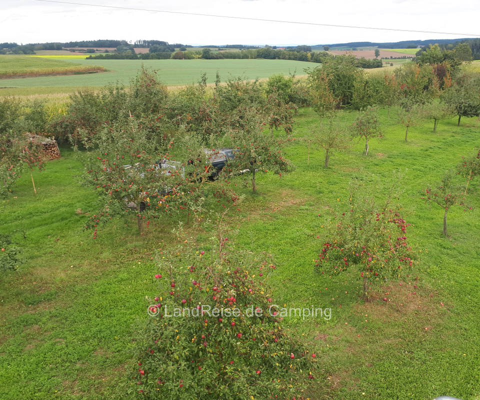 Quiet pitch on meadow orchard "Birket