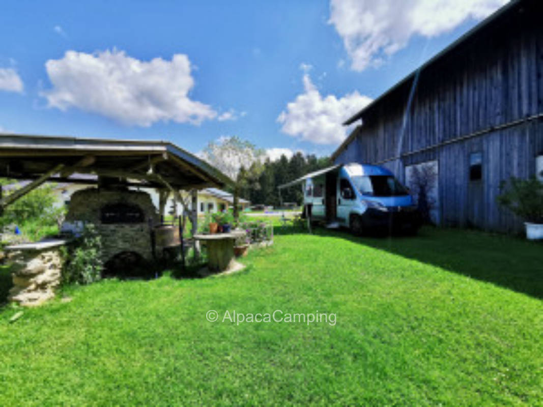 AlpacaCamping 1585