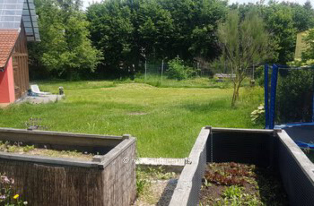 Große Wiese im Naturgarten