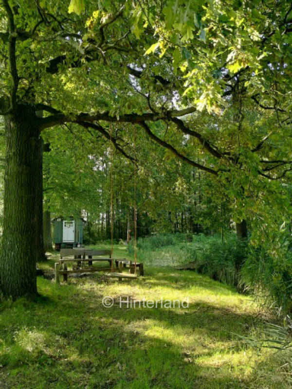 Teich am Fuß der Köhnigshainer Berge