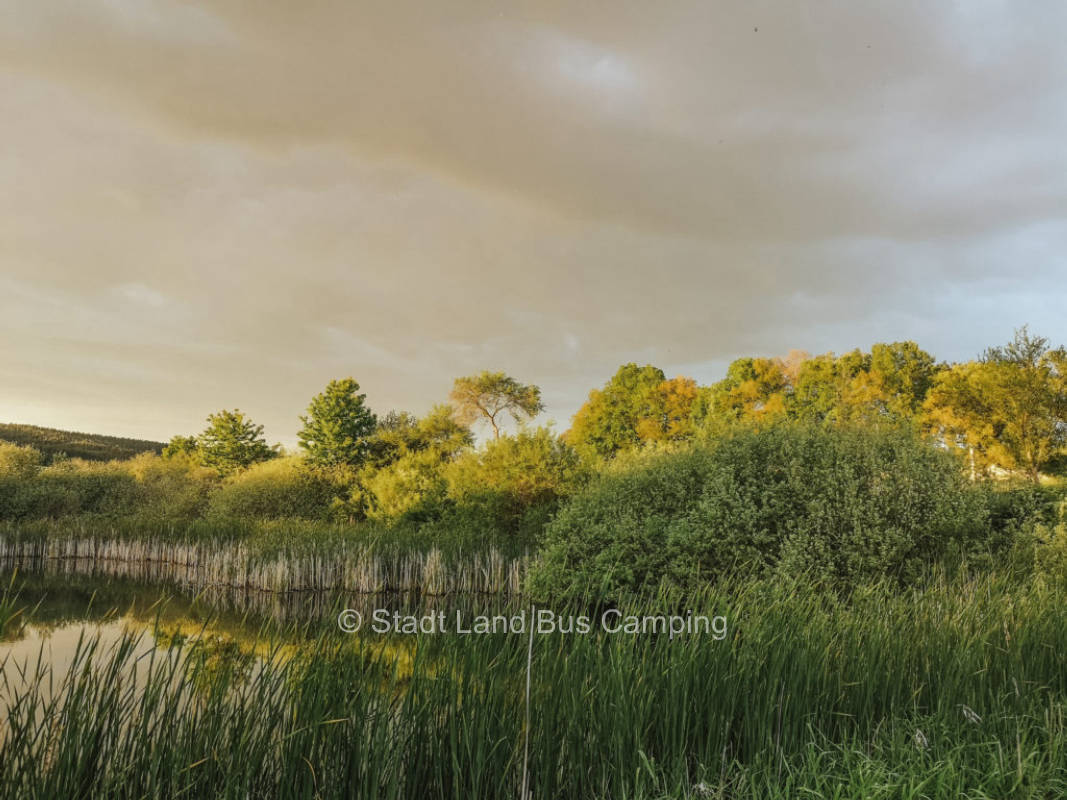 Rittergut Positz – Stellplatz 5