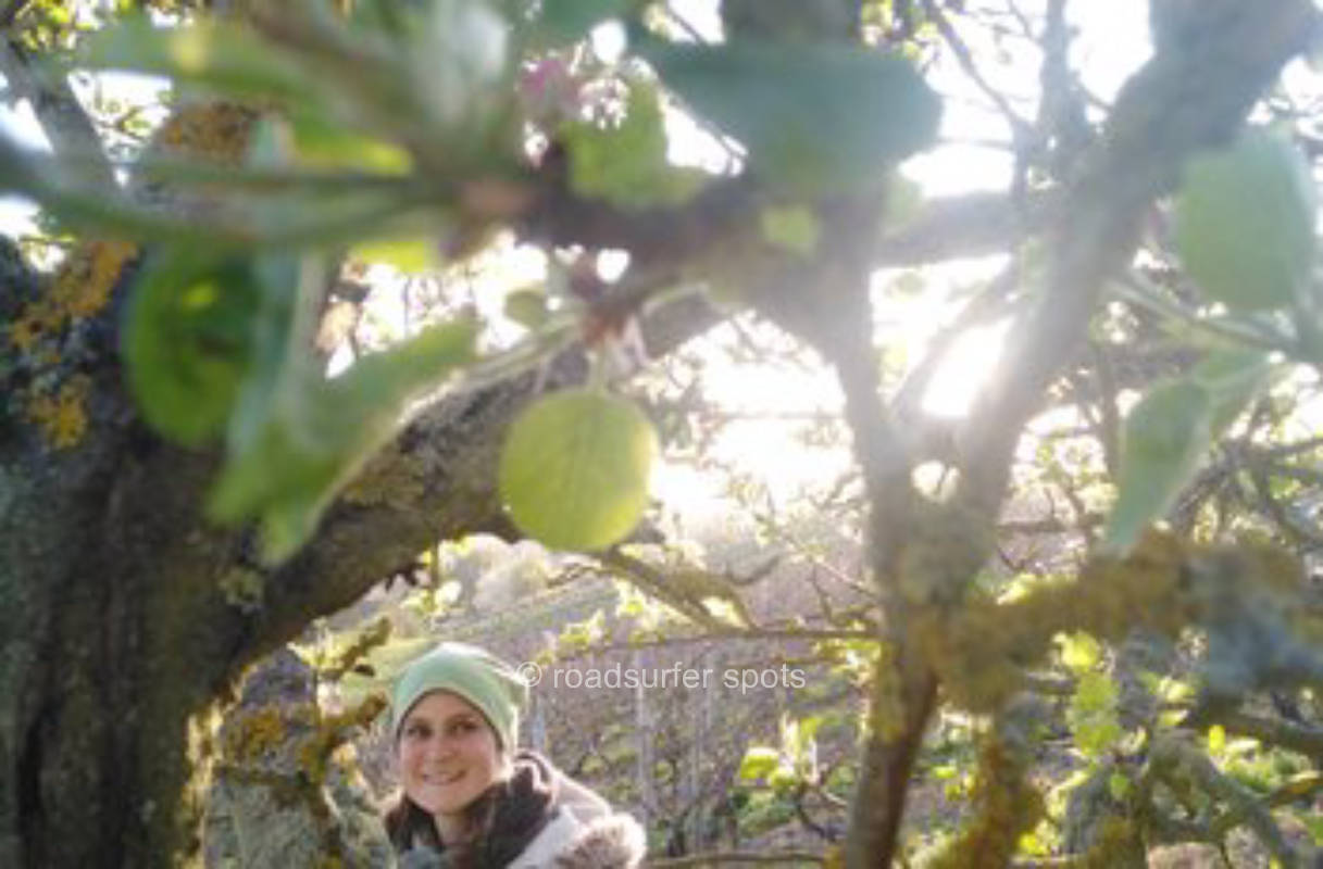 Camping auf der Schafsweide