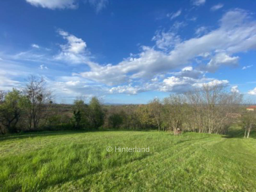 Seele baumeln lassen und Energie tanken in Ungarn