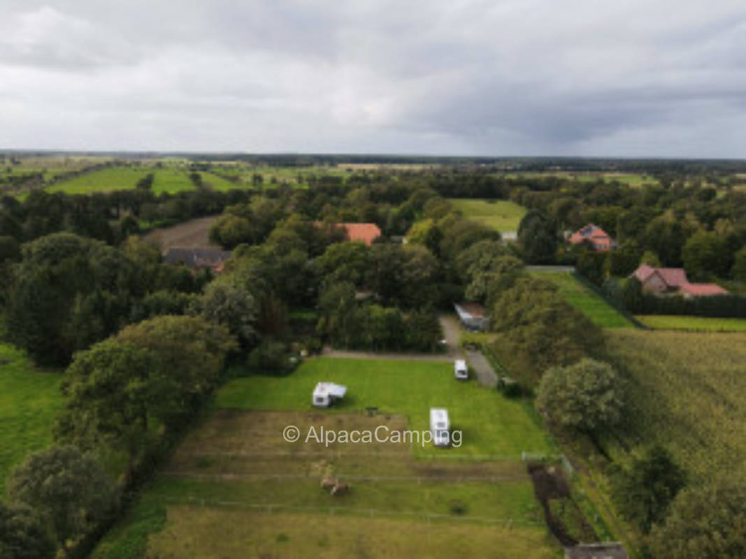 Hermann's pitch at the horse meadow #5