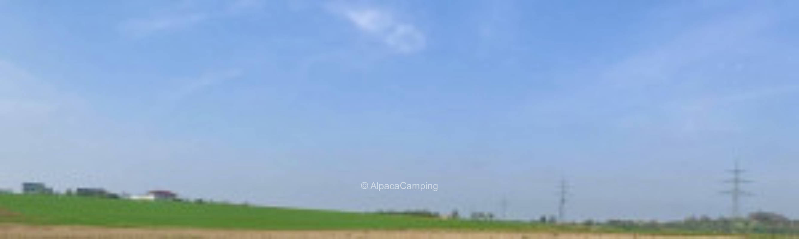 Bei den Aroniabeeren #1