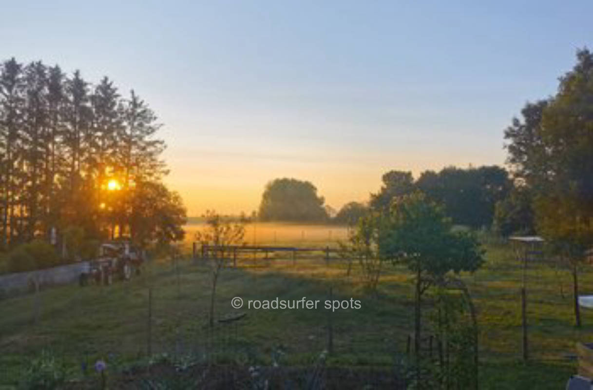 Camping bei den Lebenshofalpakas