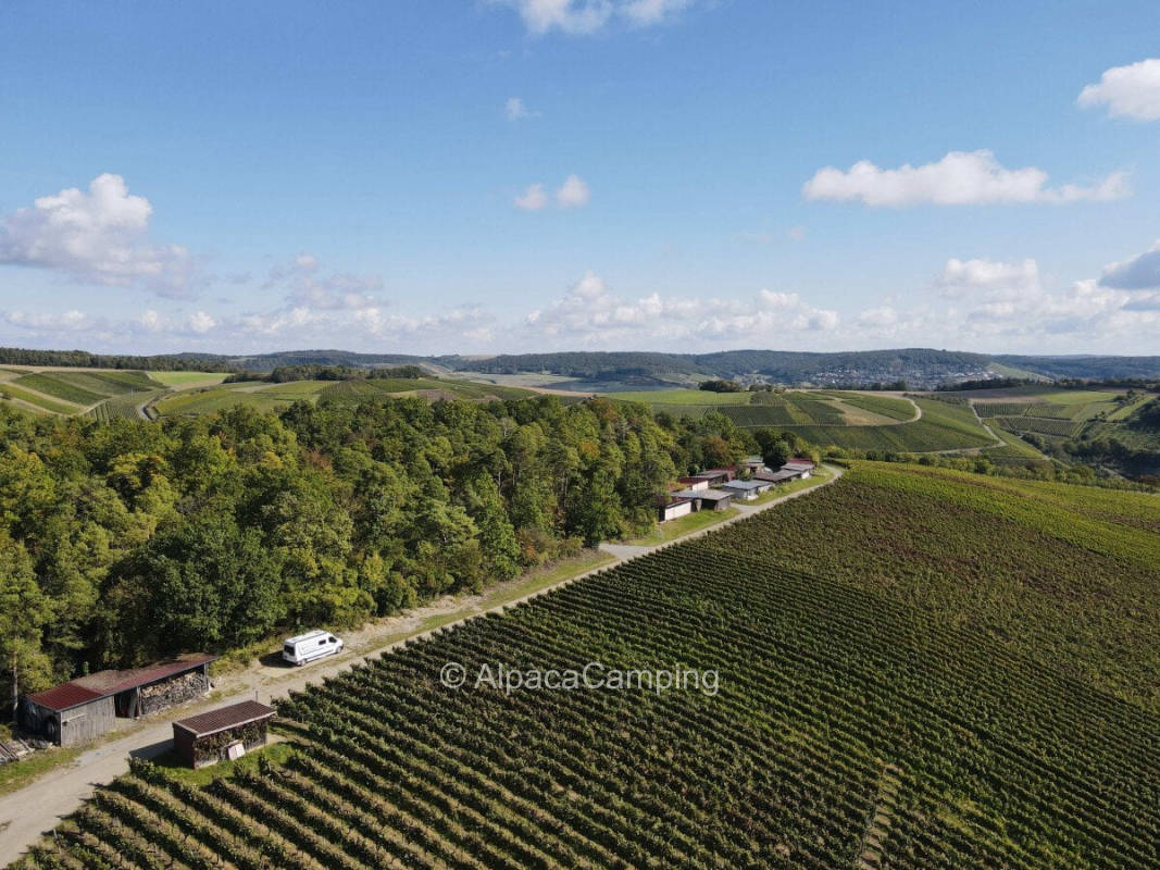 Single parking space directly at the winegrower in Beckstein / Lauda - Königshofen