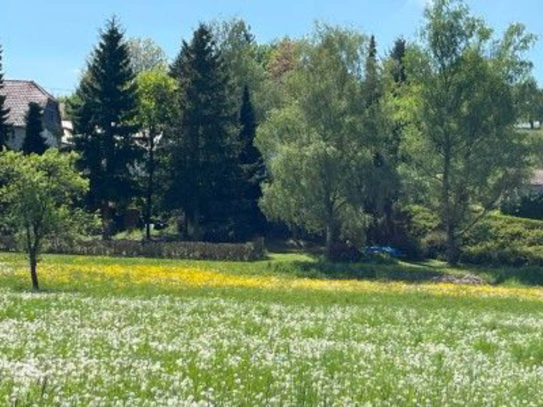 Gartencamping unterm Altbaumbestand: Natur pur