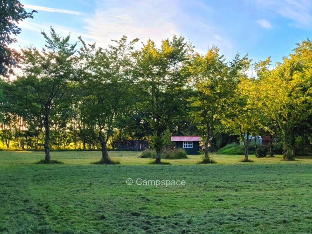 Natur im Herzen von Ostfriesland