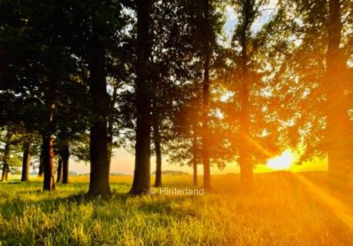 Wild-Campen im Münsterland (Einzelplatz)