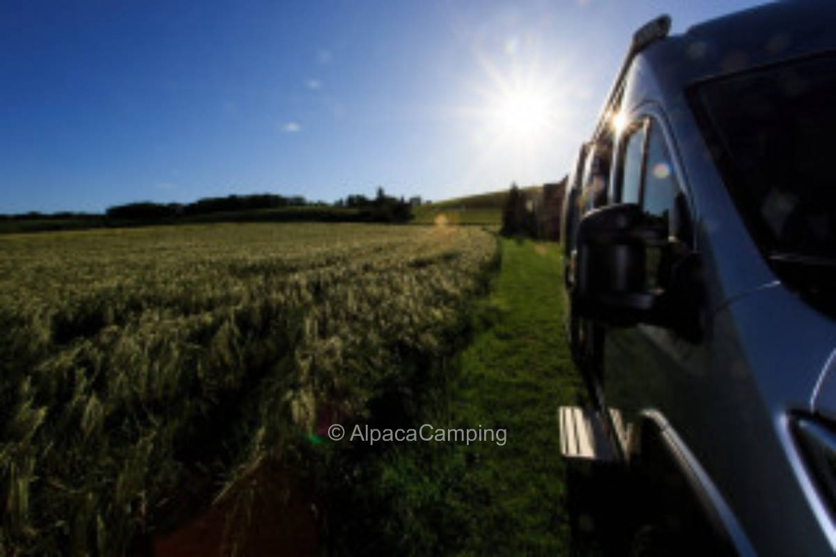 Pitch at the winery in Sulzfeld am Main #2