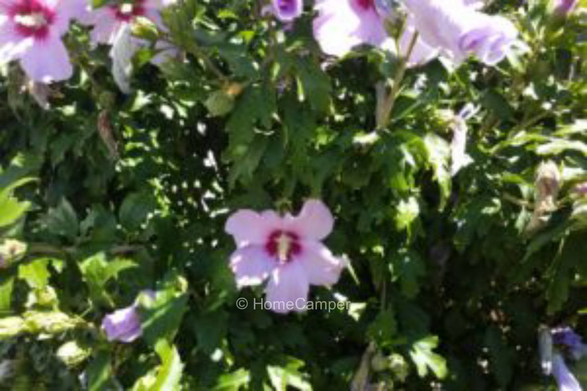 Private place in Binzen