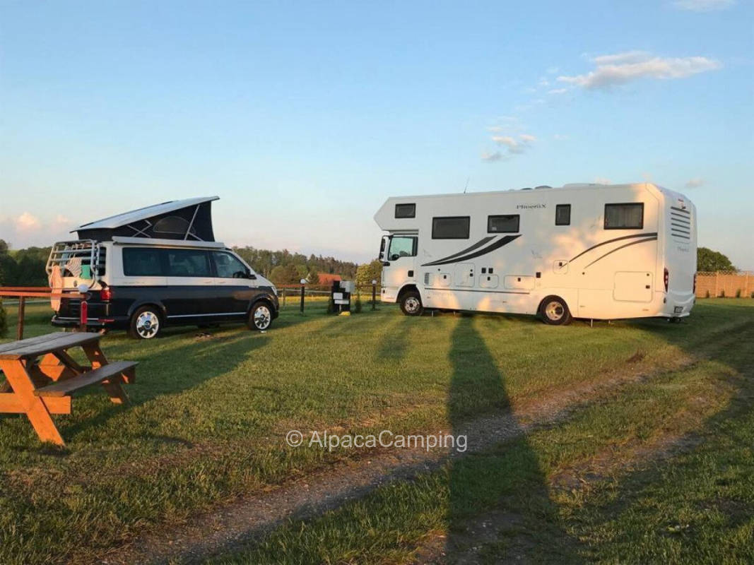 On the farm next to horses in Nobitz #1