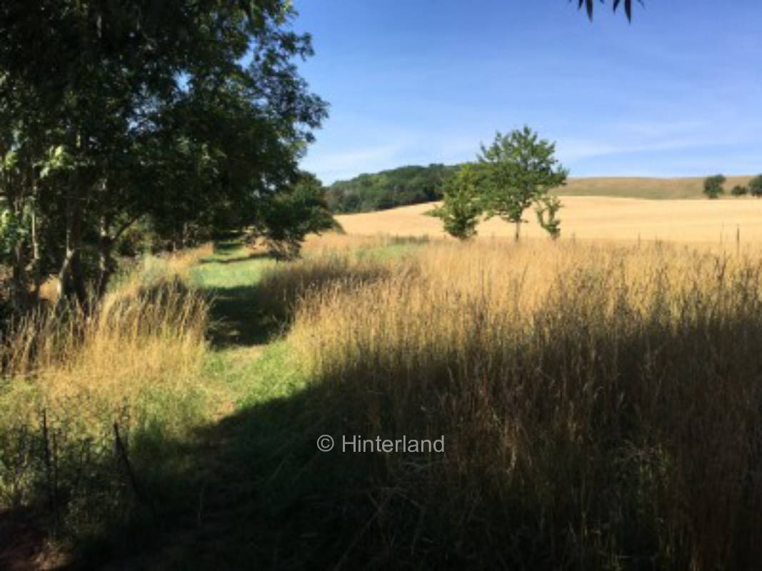 Die Elm - Stellplatz auf einer natürlichen Wiese 