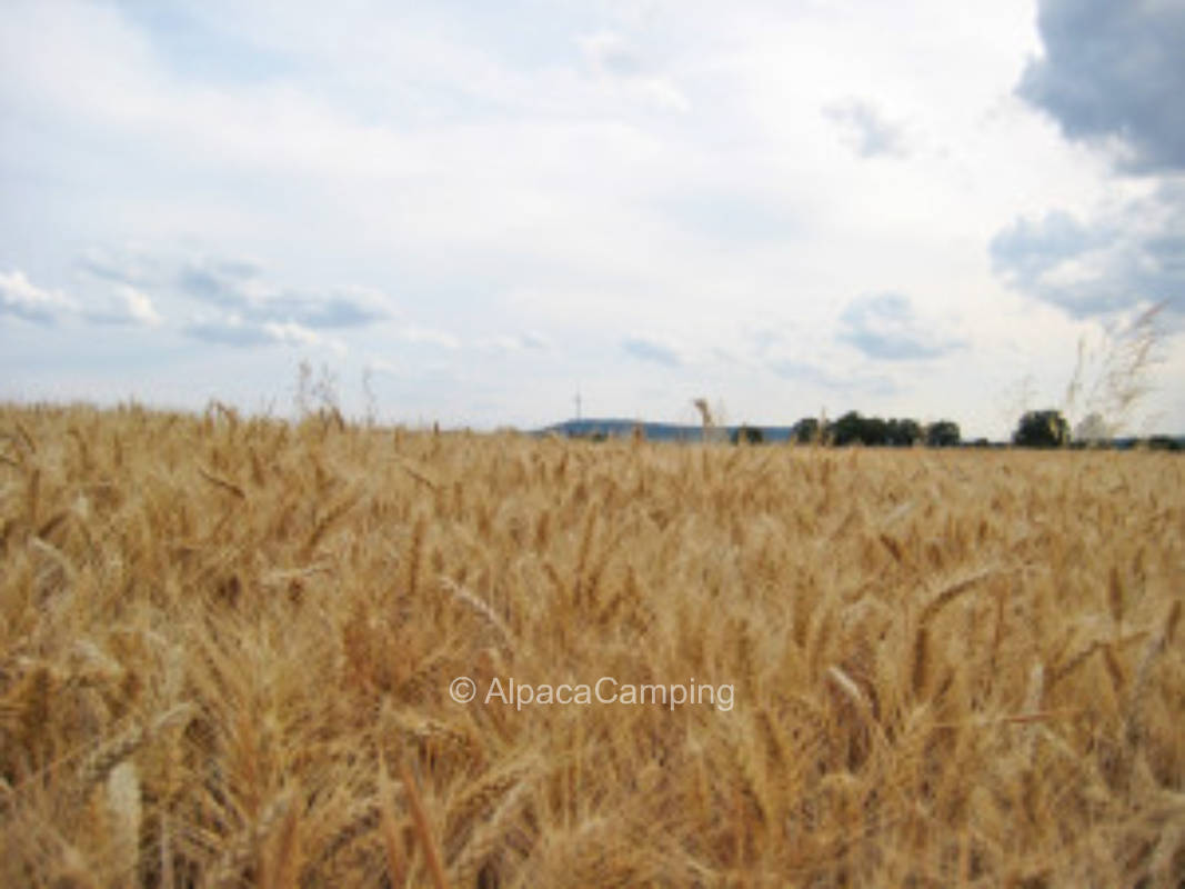 Single parking space in Koblenz