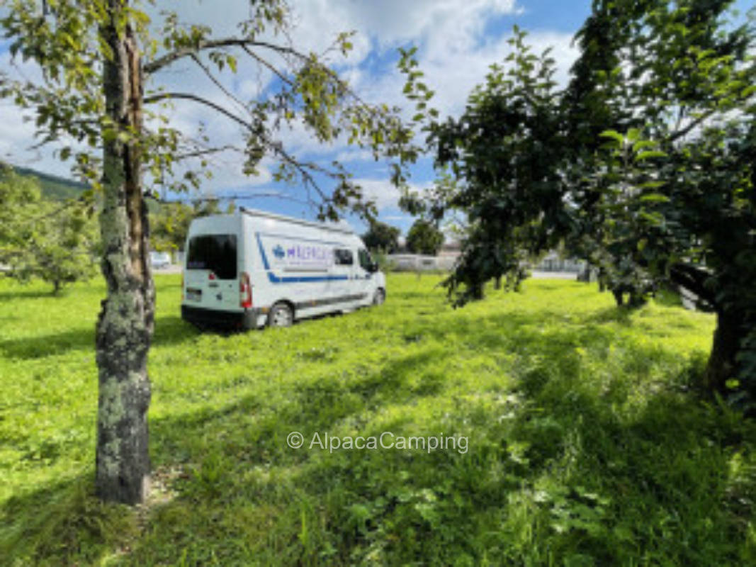 Meadow parking space in Erlenbach #2