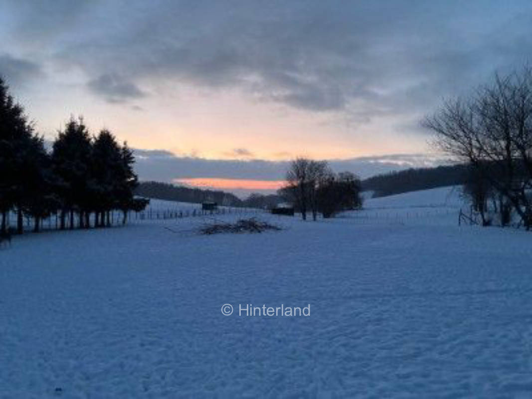 Stellplatz am Damwildgehege: Natur pur