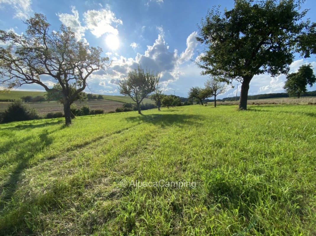 Dreaming in the middle of greenery