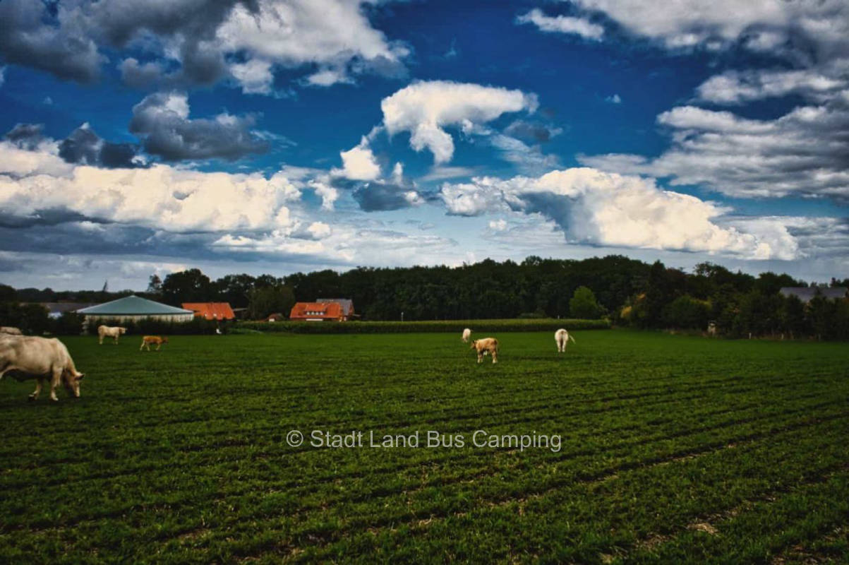Elting – Hof 1