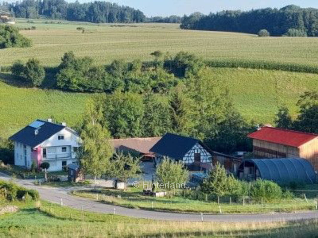 Camping bei Schaf-trifft-Huhn neben einem kl. Bach