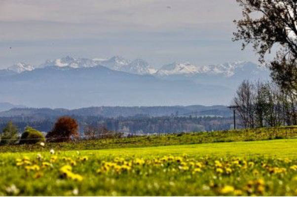 Pitch on the farm with stunning mountain views