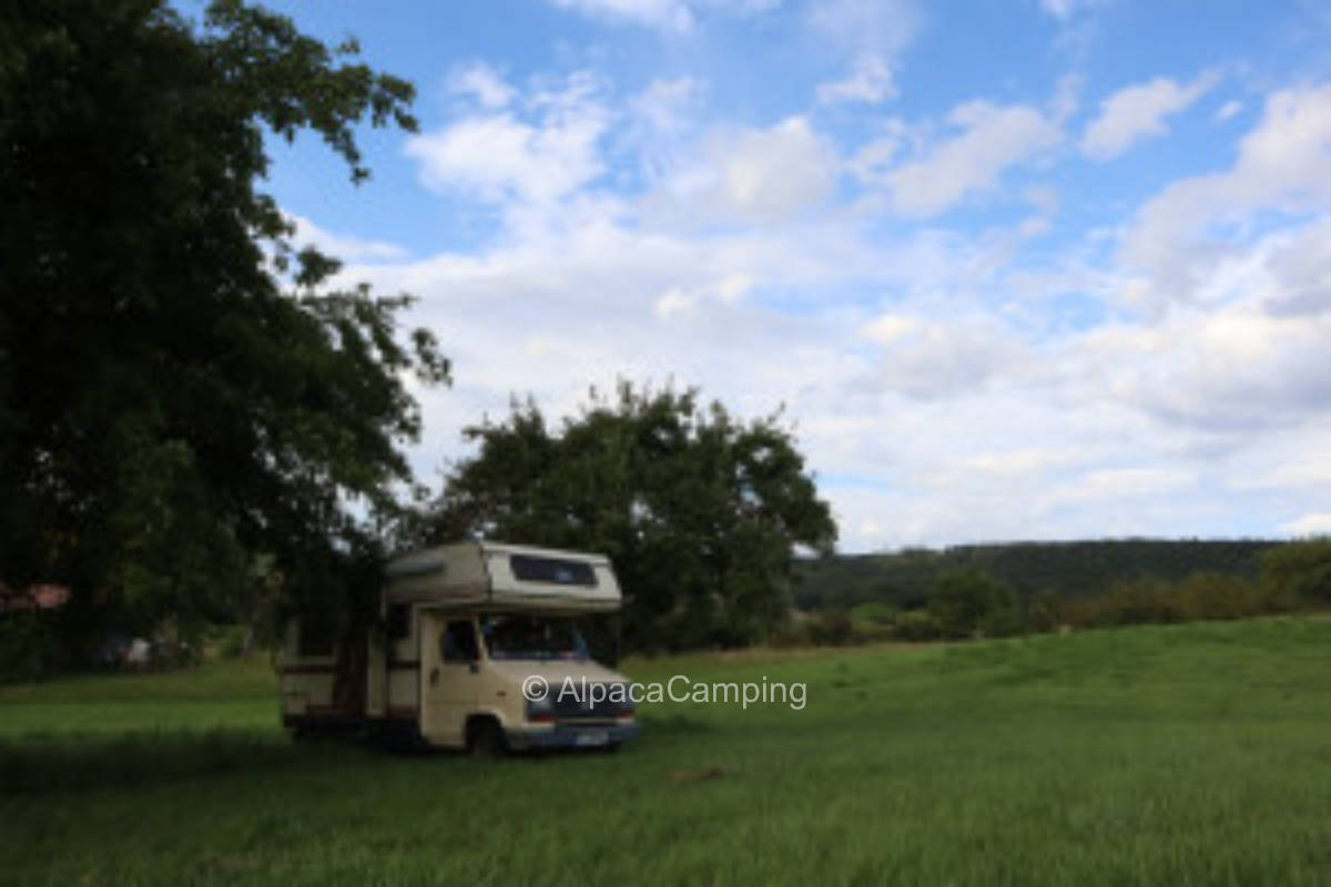 Dreaming under trees #2