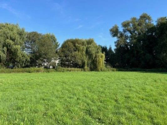 Meadow pitch by the stream in Delbrücker Land