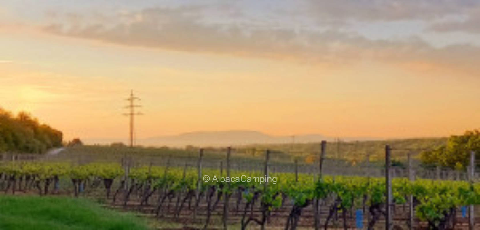 Einzelstellplatz Weinberg Kitzingen Weitblick