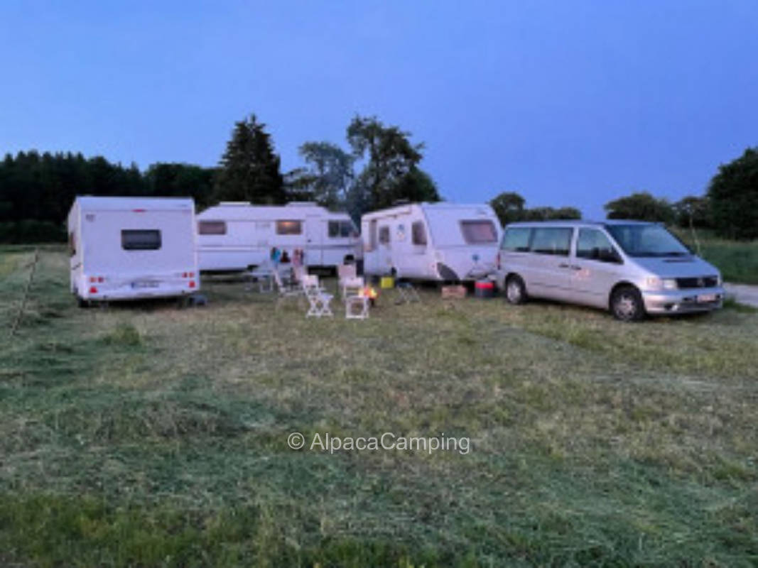 AlpacaCamping 811, privater Stellplatz