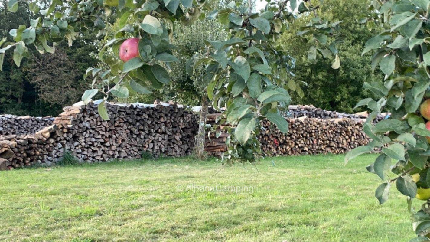Beautiful pitch on our meadow orchard 1