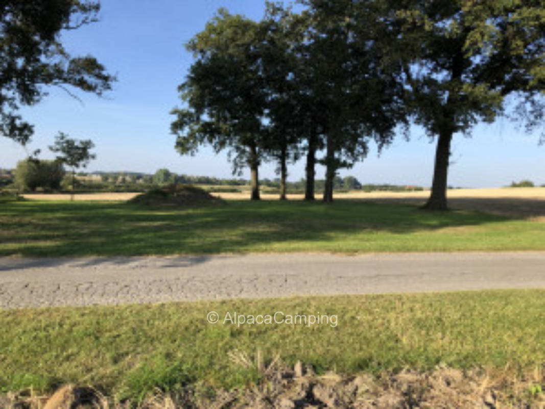At the group of trees surrounded by fields #2