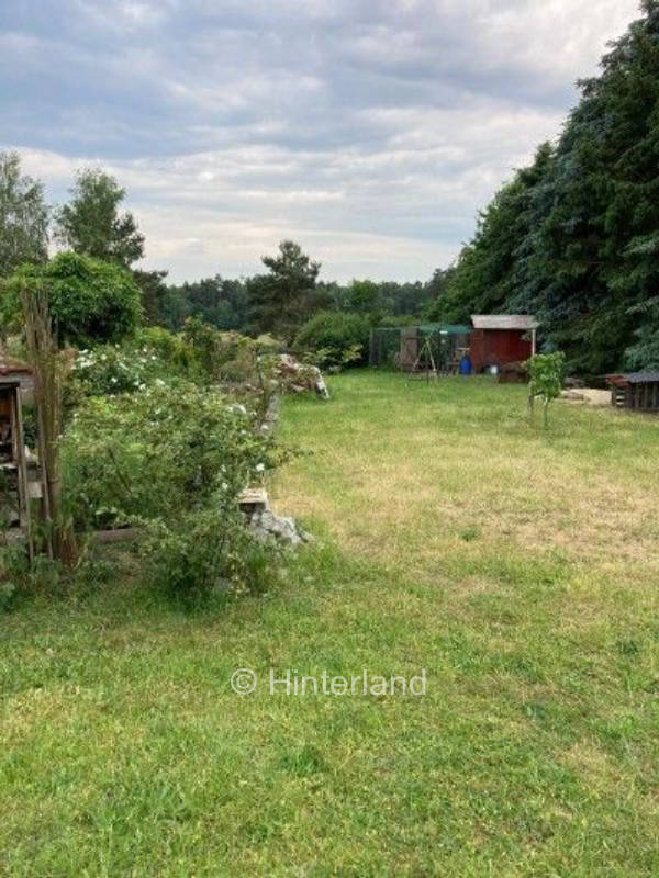 Im Lausitzer Seenland am Dubringer Moor