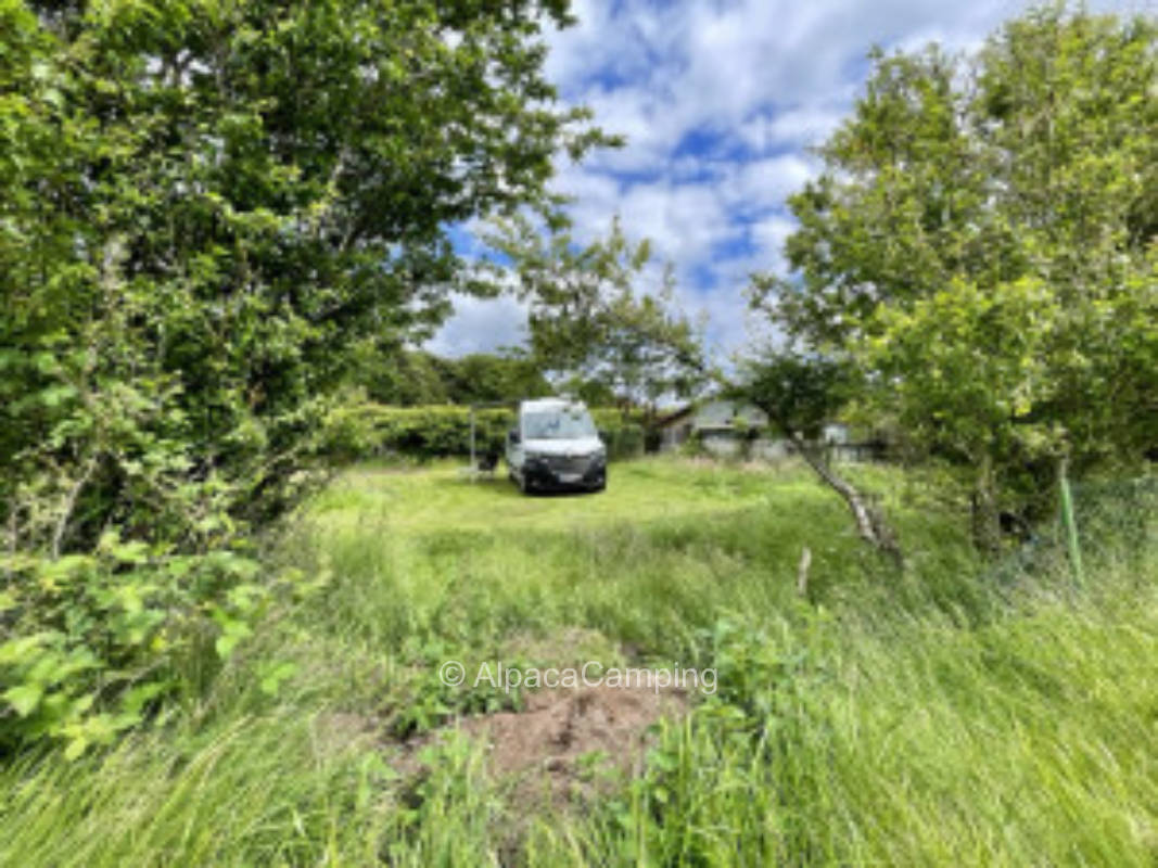 Adventure place in the countryside #2