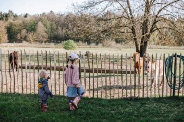 Naturcamping im Naturpark Uckermärkische Seen
