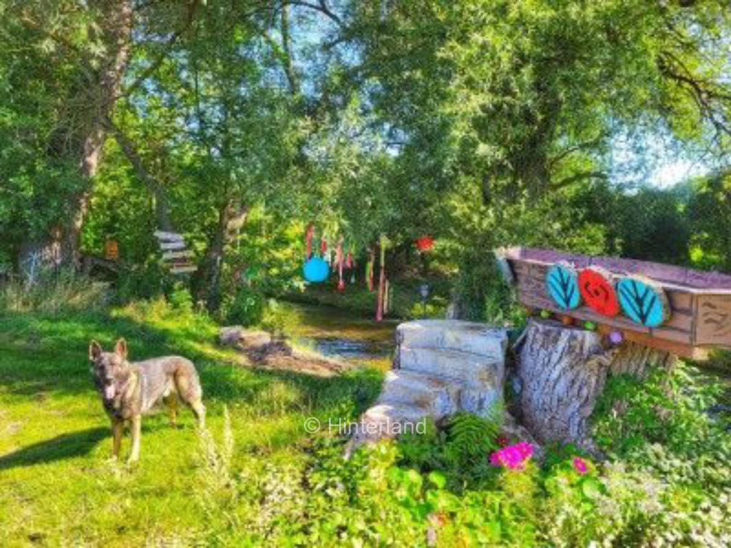 Urban Rustic Fairy Tale Alone on the Creek