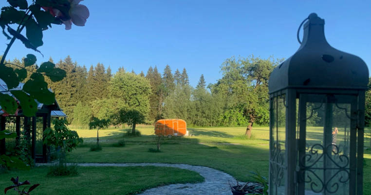 Wiese zwischen Obstbäumen mit Waldblick