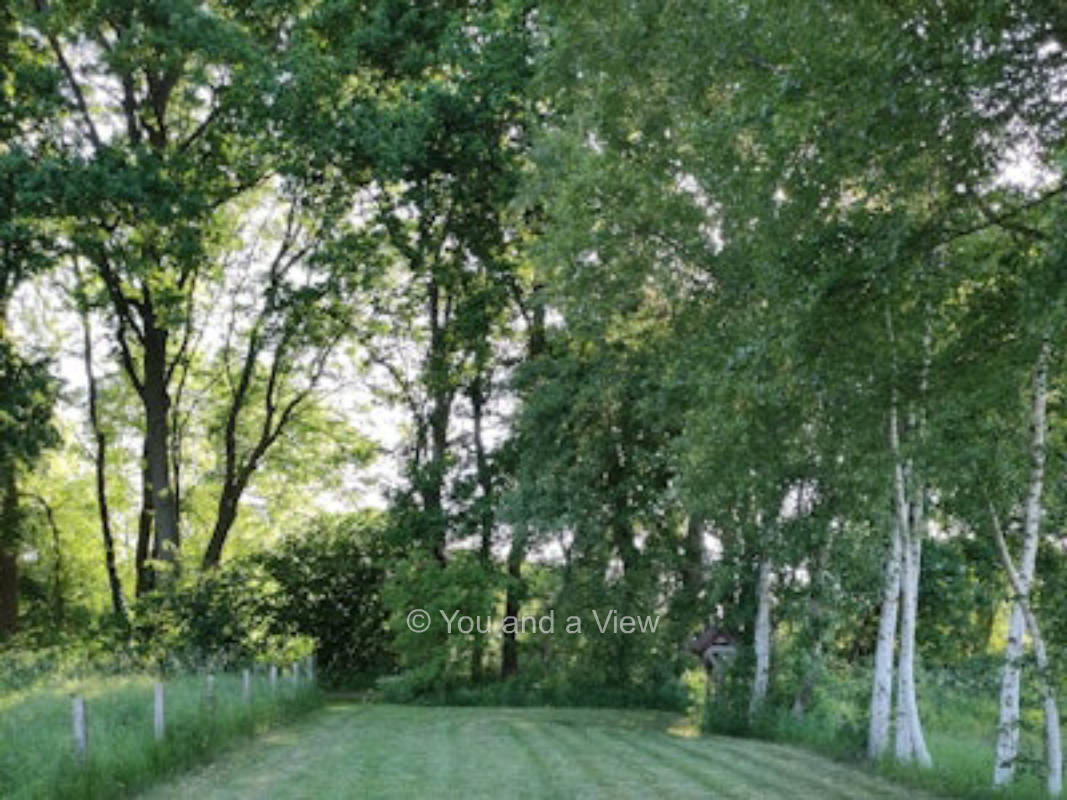 Stellplatz am Ostfriesland Wanderweg