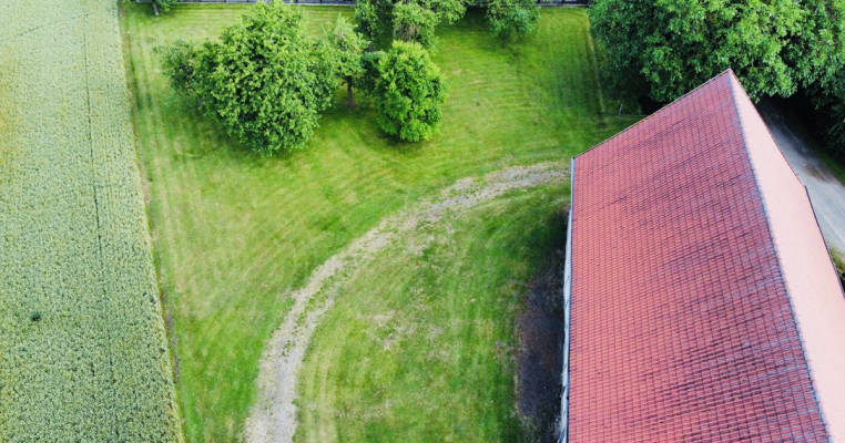 Obstgarten im Warnetal