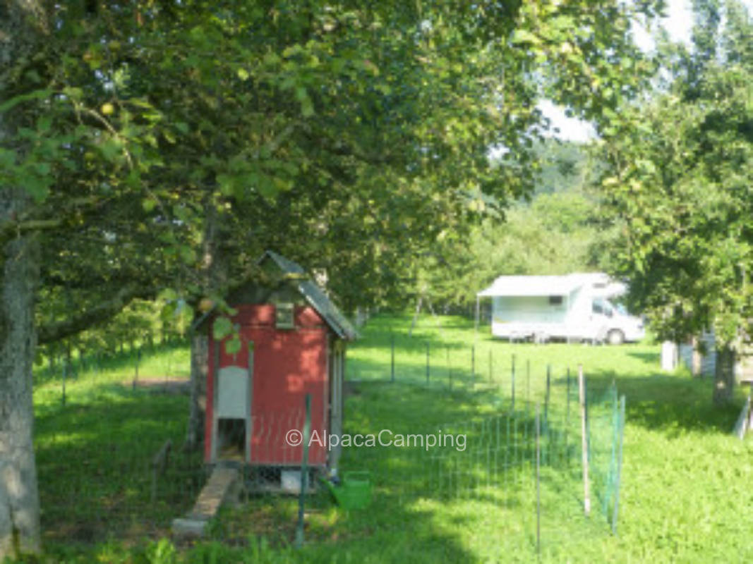 Argent Valley Organic Orchard #1