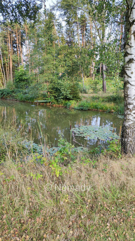 Abgelegene wiese am fischweiher