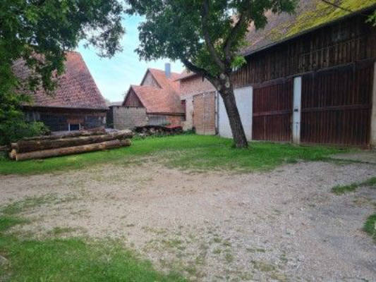 Stellplatz unter 100 Jahre alten Nussbäumen