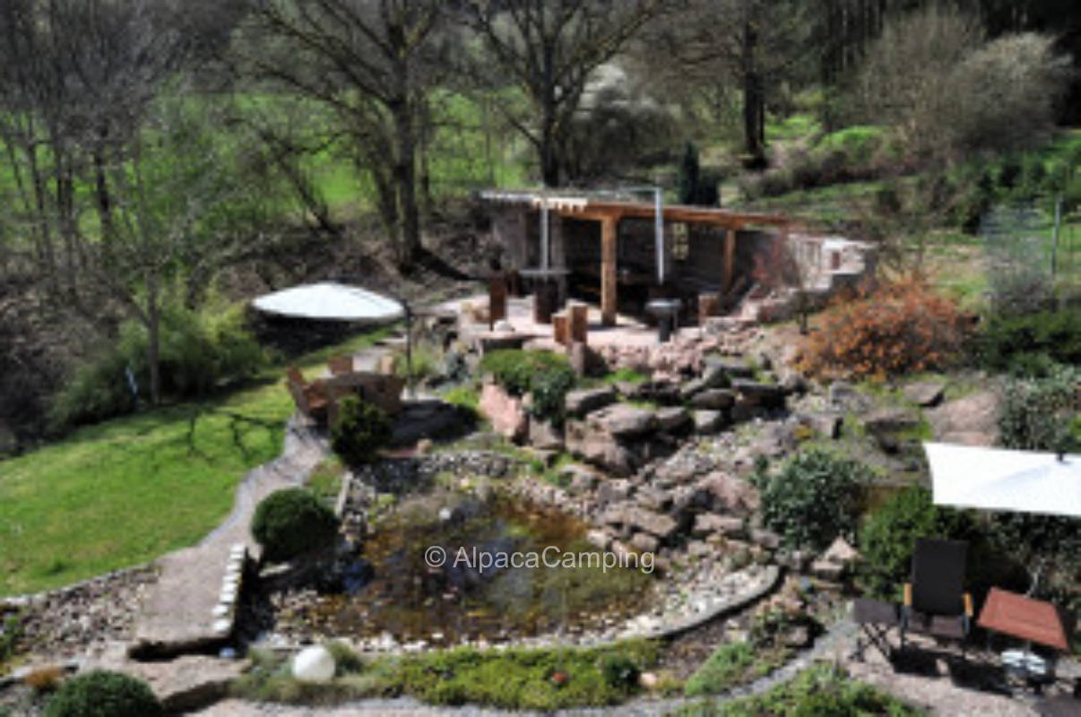 Bei den Weihnachtsbäumen am Waldrand #2