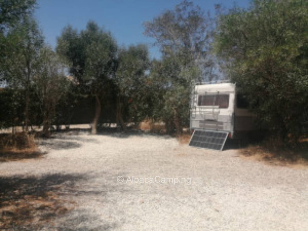 Geteilter Stellplatz La Jauja in El Palmar de Vejer de la Frontera #4