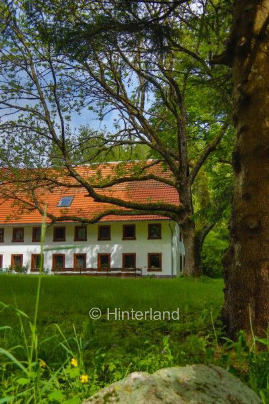  Willkommen im Schwarzwald - Traumziel für Camper