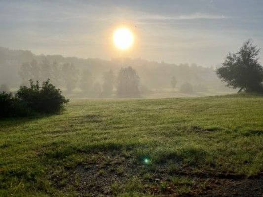 Like in the Shire: Pitches in the green at the farm